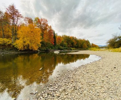 Lamoille River in Fall